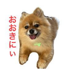 MARON_20250316174001