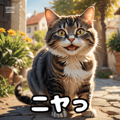 Mochi Cat Express