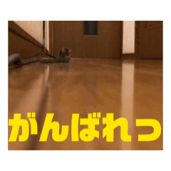 Michael_20250316180031