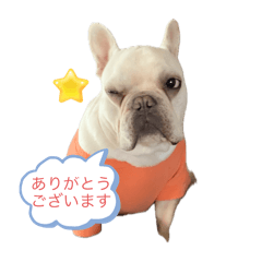 MIHO_20250316194712