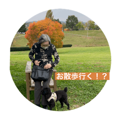 Tomomi_20250316195848