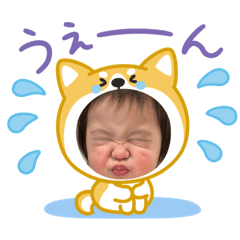 aoi-happyday
