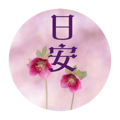日安amber