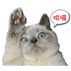 嚕咪日常生活1