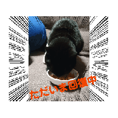 YUMI_20250316201631