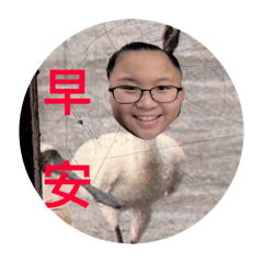 美麗大方205