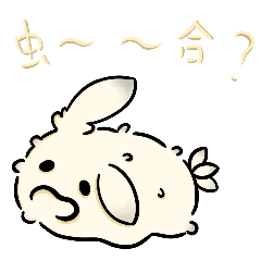 多毛的小海兔