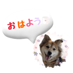 azuki.m_20250316182824