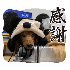 umi_20250316212634