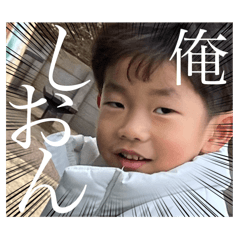 HAMU HAMU_20250316212942