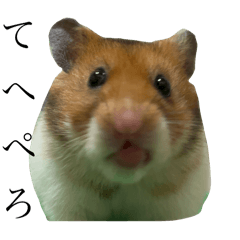 Mei_20250316021851