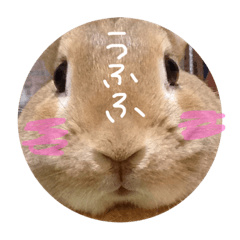 rabbit miruko's Sticker