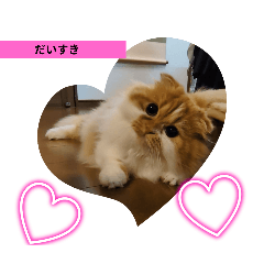 mugi_20250316182858