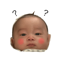 aoi_20250316221648