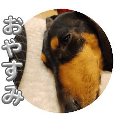 yuuki_20250316213358