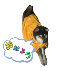 michan_20250316201720