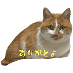 Yuri_20250316231943
