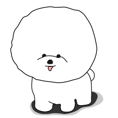 Bichon Frise is white curly hairdog