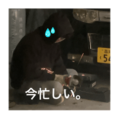 fuu_20250317020121