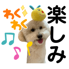 moko_20250317033951