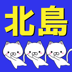 超★北島(きたじま・きたしま)なネコ