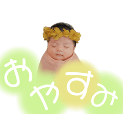 rinrin_20250316210537