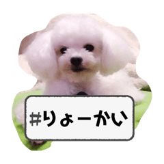 Takezoo_20250316152656