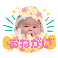ARISA_20250317075216