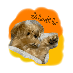 AKANE_20250316215656