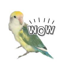 Hinata_20250316220544