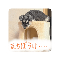 NAO_20250316192241