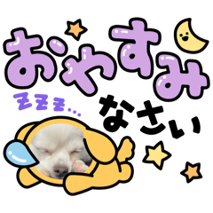 JUKIpon_20250317014018