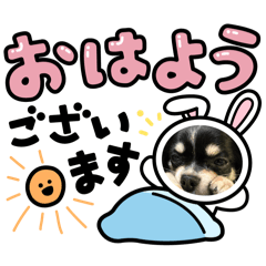 JUKIpon_20250317014231