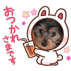 HARUKI_20250316113017