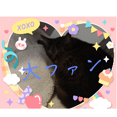 neko_20250316205627