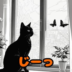 Mirin the Expressive Black Cat