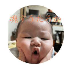 Shun_20250316213656