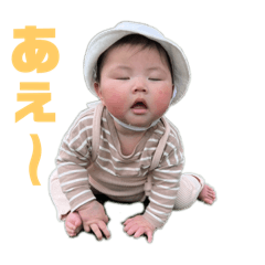 Taro_20250316214317