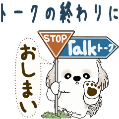 Moving Shih tzu (At the end of the talk)