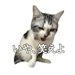 coco_20250317002615