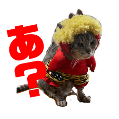 sho_20250317005202