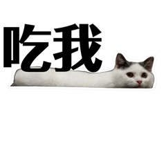 J.King_20250317041423