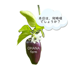 mirei_20250314144942