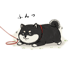 tunderenakuroshiba