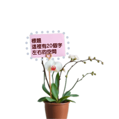 優雅花盆貼圖 - HK-TW
