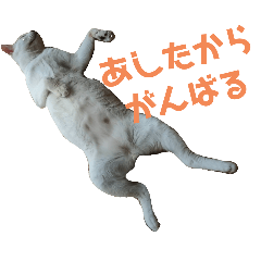 にゃんずの家スタンプ・１