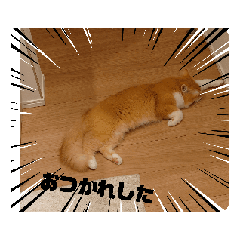 Sato_20250317120835
