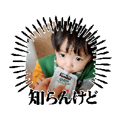 bear_20250317152415