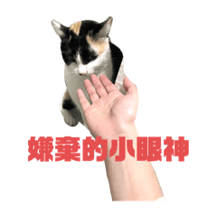 小花自己賺罐罐第一波