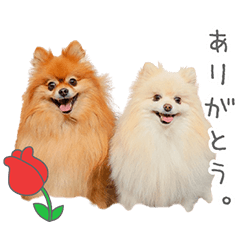 StampNo:5035